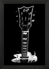 ESP Eclipse Framed Wall Art Poster Canvas Print Picture