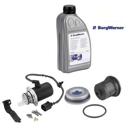BorgWarner Haldex Clutch Precharge Pump Oil Filter Oil for VW T5 2.5 TDI 4motion