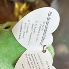 ((RARE TAG ERROR))  Ty Beanie Babies Kicks Bear Green Soccer Plush Vintage 1999 — photo 5