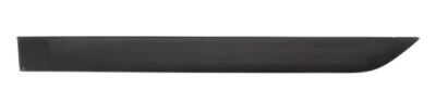 BLIC 5703-04-2532573P Trim/Protective Strip, wing for Ford