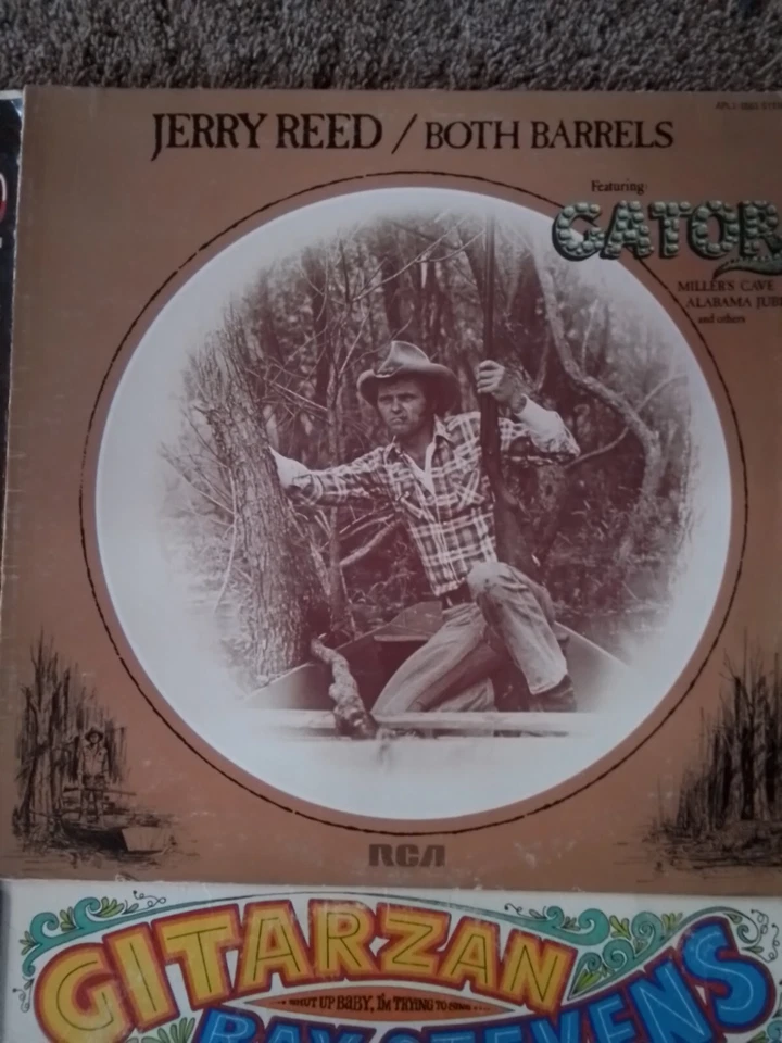 SIX 60'S and 70's VINTAGE VINYL RECORD ALBUMS SINGERS/SONGWRITERS - Image 4 of 4