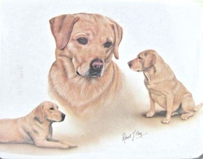 Retired Dog Breed LAB RETRIEVER YELLOW TRIO Softcover Address Book