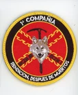 PATCH SPAIN ARMY MOUNTAIN 1st COMPANY RICZM 66 BCZM 1  VEL L BACK DRONE