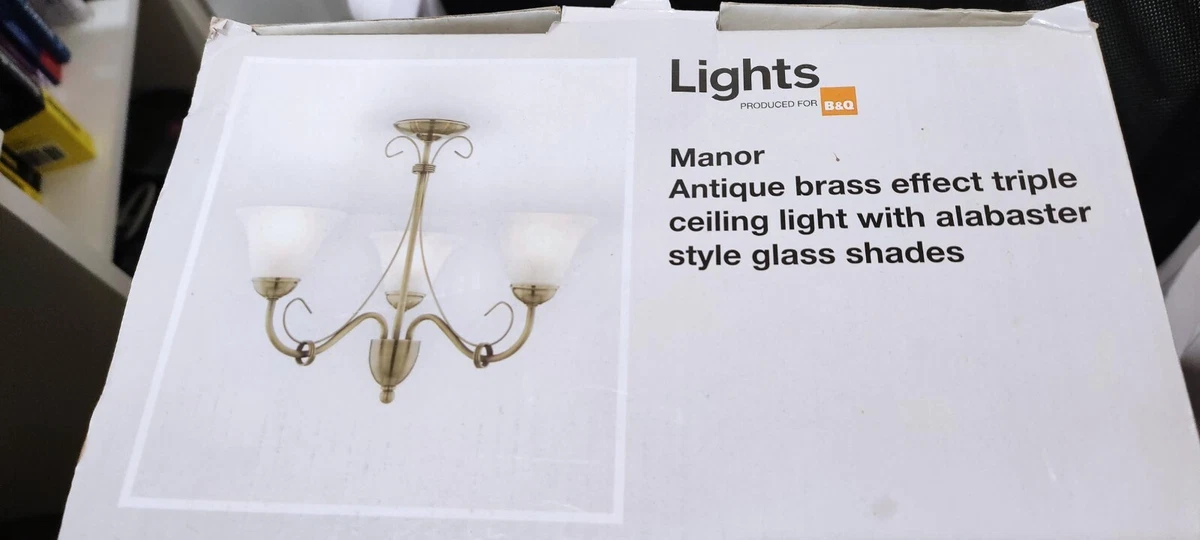B and q sale ceiling lights led