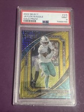 Leaf Sues Panini Over Prizm Brand 11