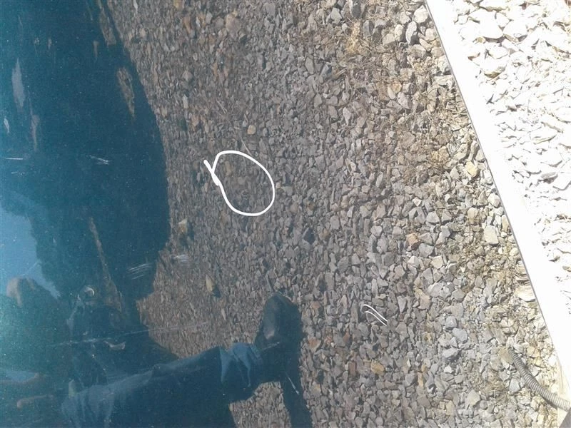 (LOCAL PICKUP ONLY) Trunk/Hatch/Tailgate Without Spoiler Fits 95-99 MONTE CARLO Foto 3 de 4