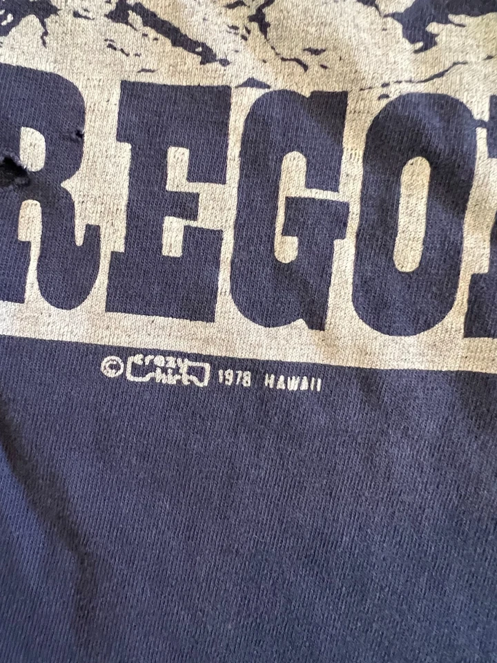 Camisa Loca Oregon 1978 De Colección Camisa Montaña Azul Usada Puntada Única Pequeña Años 70 Foto 4 de 4