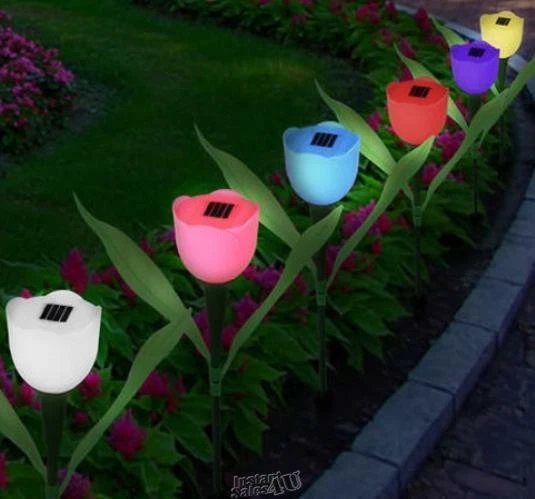 Kocaso-6 Piezas Tulipán Aparición Luces Solares Ahorro de Energía, Ecológicas Foto 3 de 4