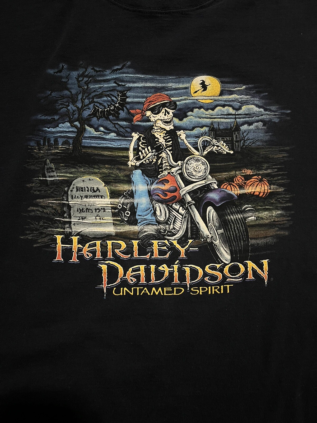 HarleyDavidson Motor Cycles TShirt Untamed Spirit L… Gem