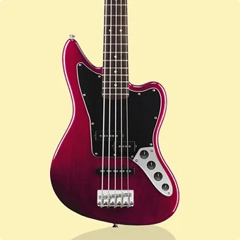 Bass Guitars