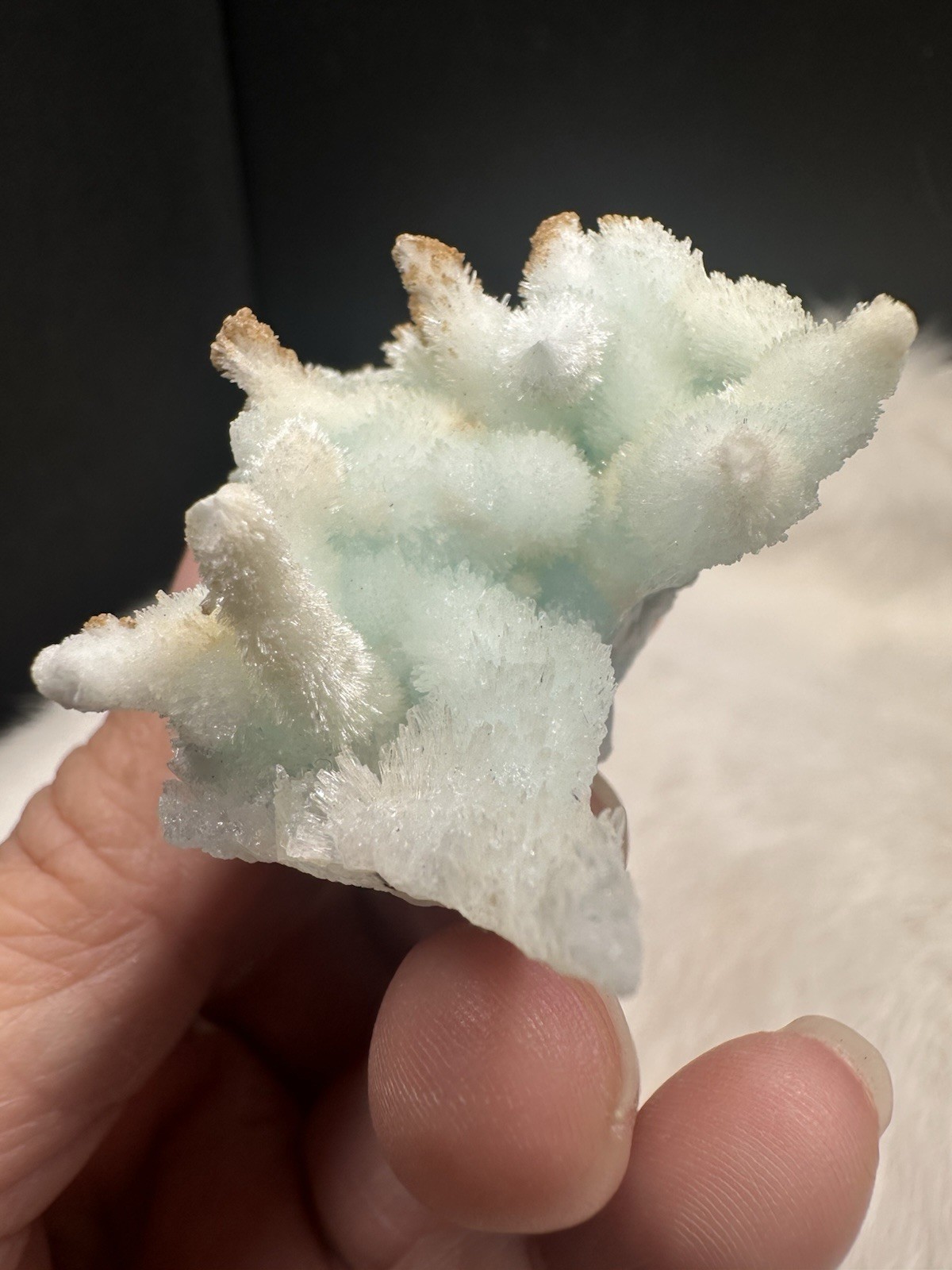 Blue Aragonite