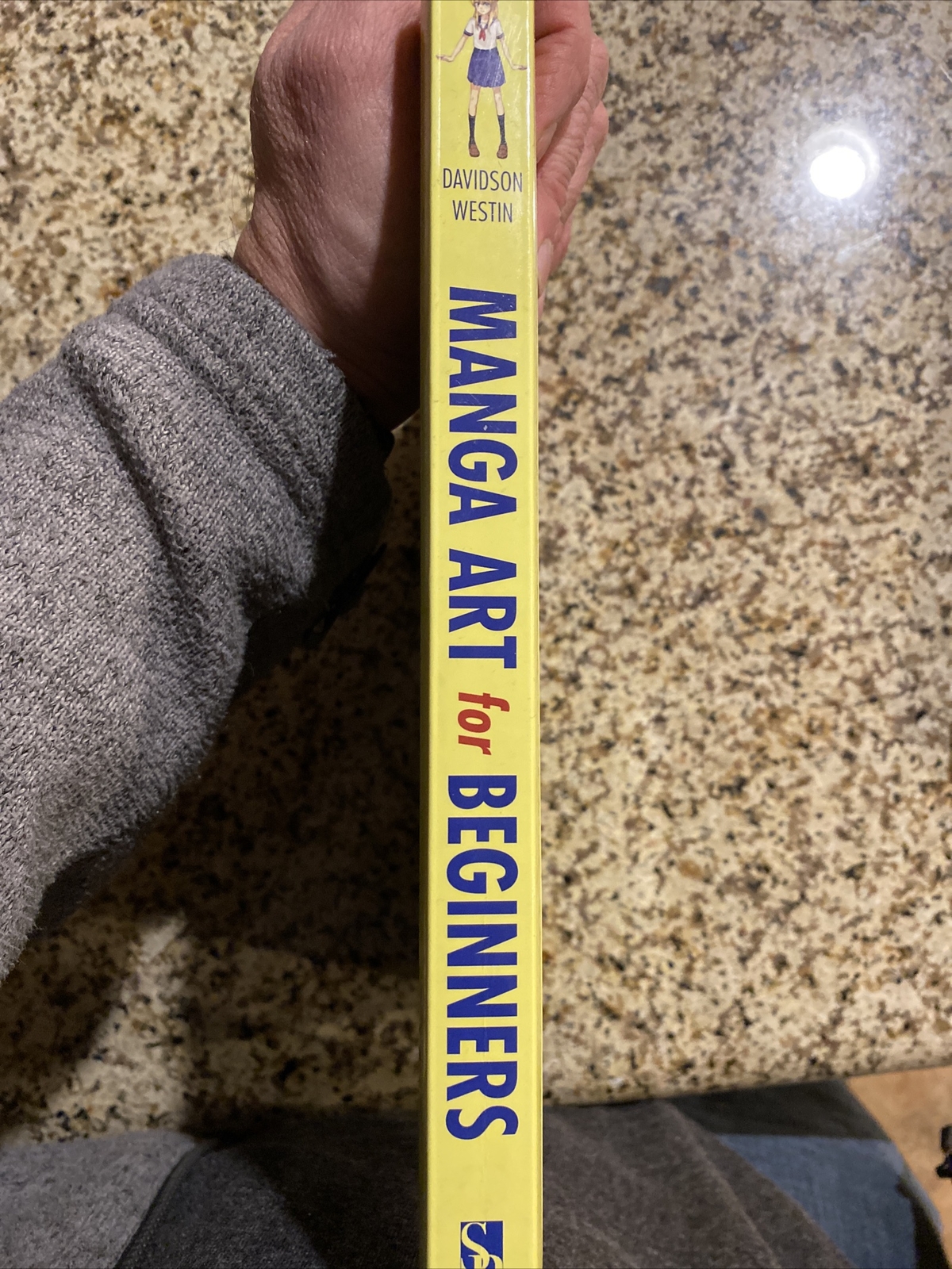 Manga Art for Beginners How to Create Your Own Manga Drawings by