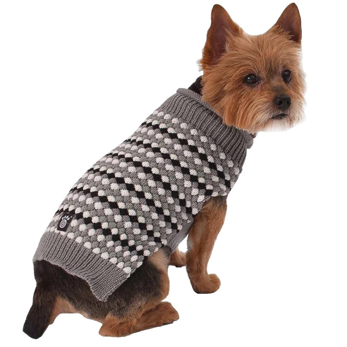 PetRageous Designs Black Dog Roupas e sapatos