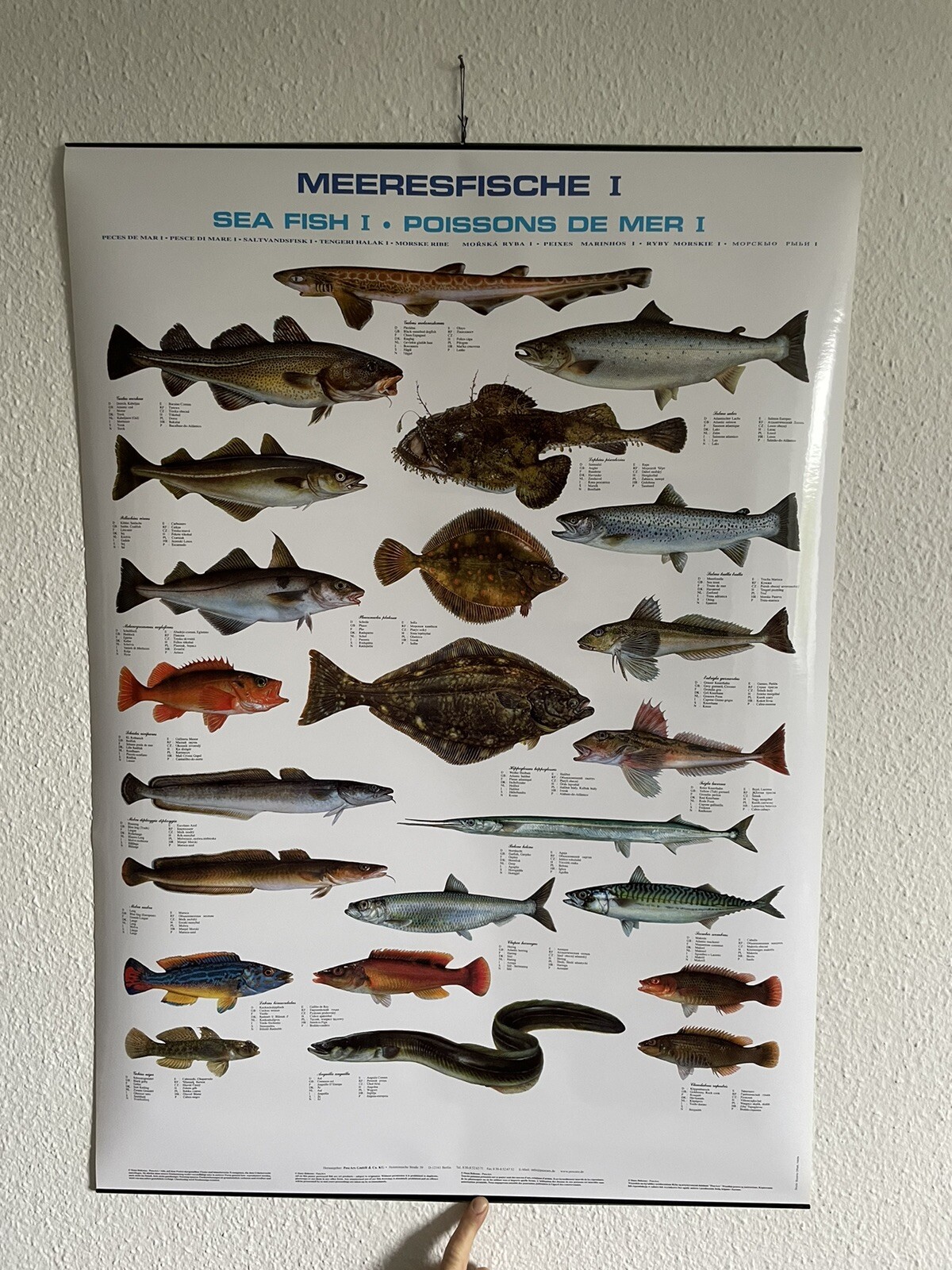 Bild 1 von 3
