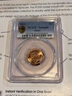2015 PCGS Advertising Sample Slab Fifth Generation Holder Shield Cent — photo 1