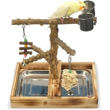 Interactive Bird Perch with Stainless Steel Cups