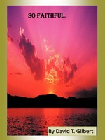 So Faithful. David T. Gilbert Taschenbuch Kartoniert / Broschiert Englisch 2012