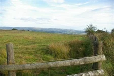 Photo 6x4 Sheep at 400m Geseilfa At 400m above sea level you can keep sh c2006