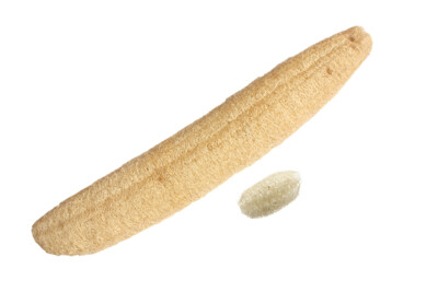 Whole Luffs Loofah Natural Body Scrubber Sponge Bath Kitchen NON-bleached