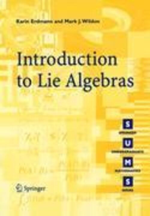 Thumbnail - Introduction To Lie Algebras | Mark J. Wildon (u. A.) | Taschenbuch |