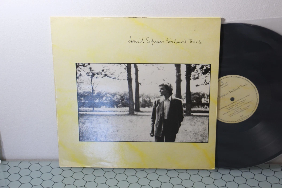 David Sylvian Vinyl Records for sale | eBay