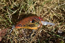 Howell Custom Lures- Turq Seed -custom painted fishing lures Crankbait Swimbait