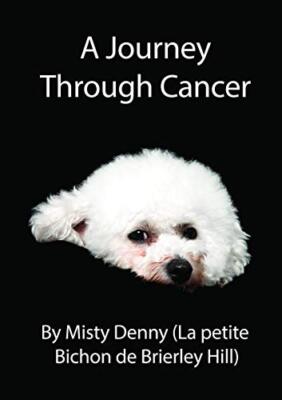 A Journey Through Cancer                                                       
