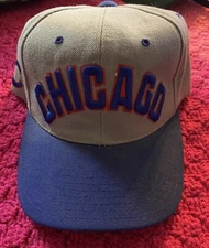 Cubs Hat (Drew pearson companies)