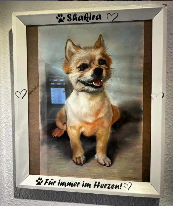 Bild 9 von 10