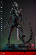 Hot Toys Xenomorph Alien Romulus Scorched 1/6 Scale *NEW* *US SELLER*