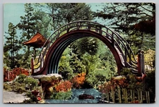 Golden Gate Park, Tea Bridge, California, Scenic Landscape, Vintage Postcard