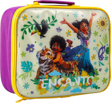 Encanto Rectangular Insulated Lunch Box Bag for Boys and Girls, Perfect Size for