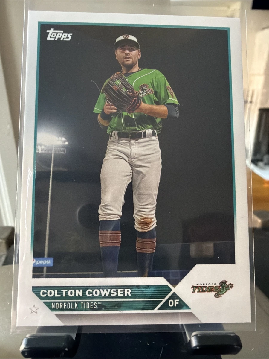 Norfolk Tides Baseball Sports Trading Cards & Accessories for sale