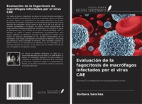 Barbara Sanches | EvaluacióN De La Fagocitosis De MacróFagos Infectados Por...