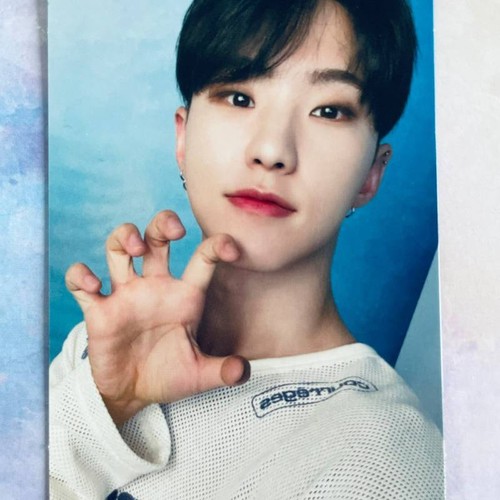 SEVENTEEN ALWAYS YOURS JAPAN BEST ALBUM Photo Card Carat Ver. Limited PC - Picture 17 of 45