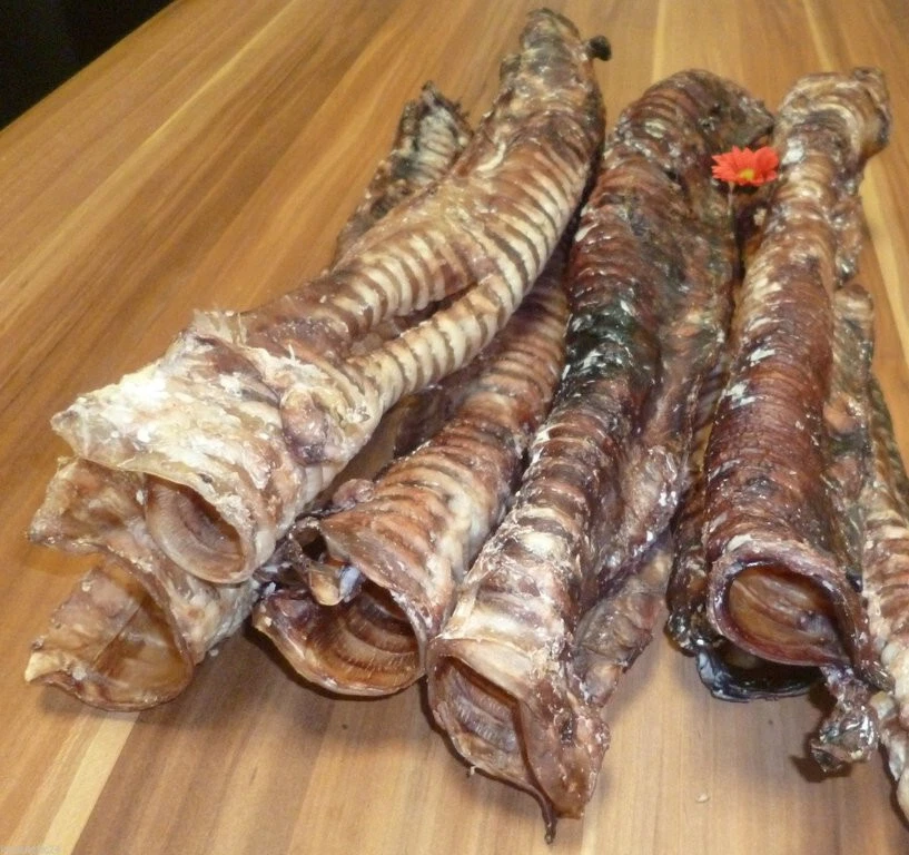 KAUSNACK24 1 Kg RINDERSTROSSEN LANG ca. 30 cm Luftröhre Kauartikel Knorpel für große Hunde
