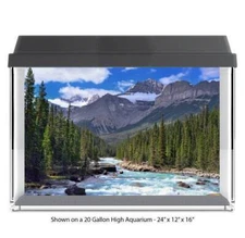 Mountain River Forest Fish Tank Glass Back Drop Aquarium Back Ground New #043