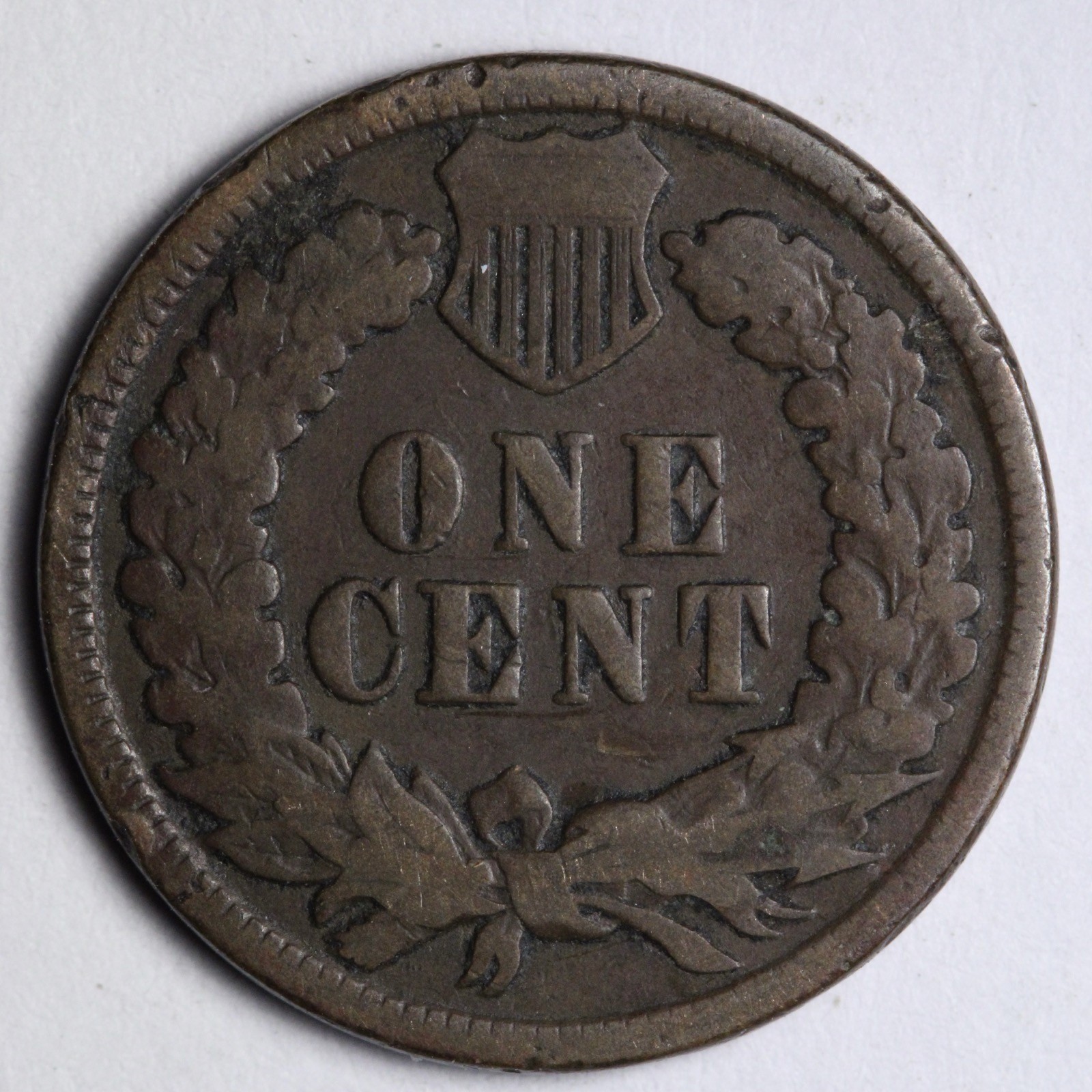 1881 Indian Head Cent Penny E117 KGC