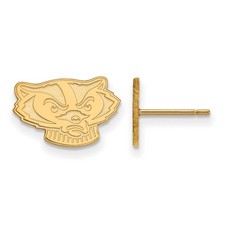 10k Yellow Gold University of Wisconsin XS (Tiny) Post Earrings