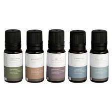 Mr Steam Multi Essential Aroma Oil Package in 10 mL Bottle