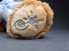 Bild 11 von 14