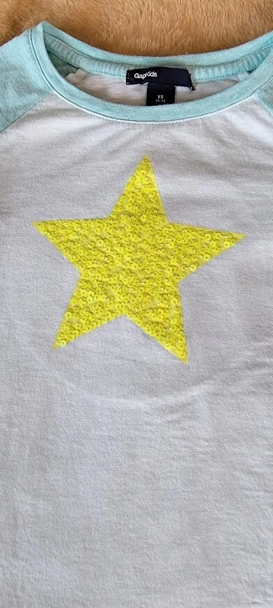 Top raglán Gap para niñas verde azulado L/S con estrella de lentejuelas doradas en la parte delantera talla XS (4/5) Foto 3 de 4