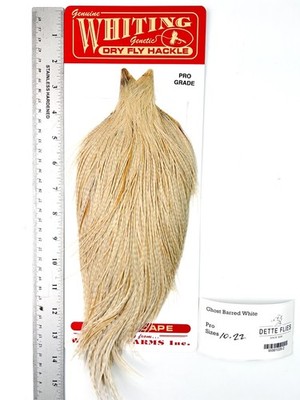 Whiting Farms Hackle Rooster Cape - Ghost Barred White - Pro Grade (#2)