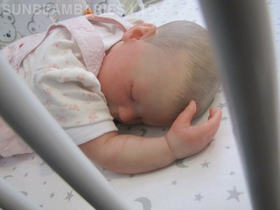 rose reborn doll