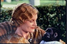 Jim Henson’s BUDDY Rene Russo Robbie Coltrane Alan Cumming 1996 35mm Slide