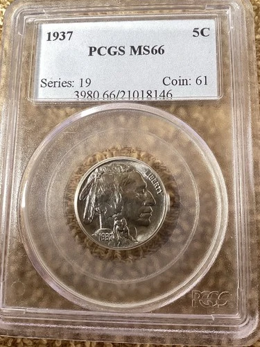 1937 Buffalo 5c PCGS MS66. Free Shipping (8146)