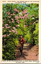 Wiley Oakley Gatlinburg Tennessee Scene of Appalachian Trail Postcard