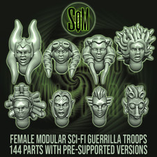 Female Heads (8) - Star Wars Legion Scale/Roleplay resin miniature SM