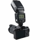 Foto 5 di 10
