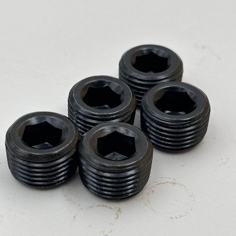 5pcs Allen Socket pipe plugs 1/4
